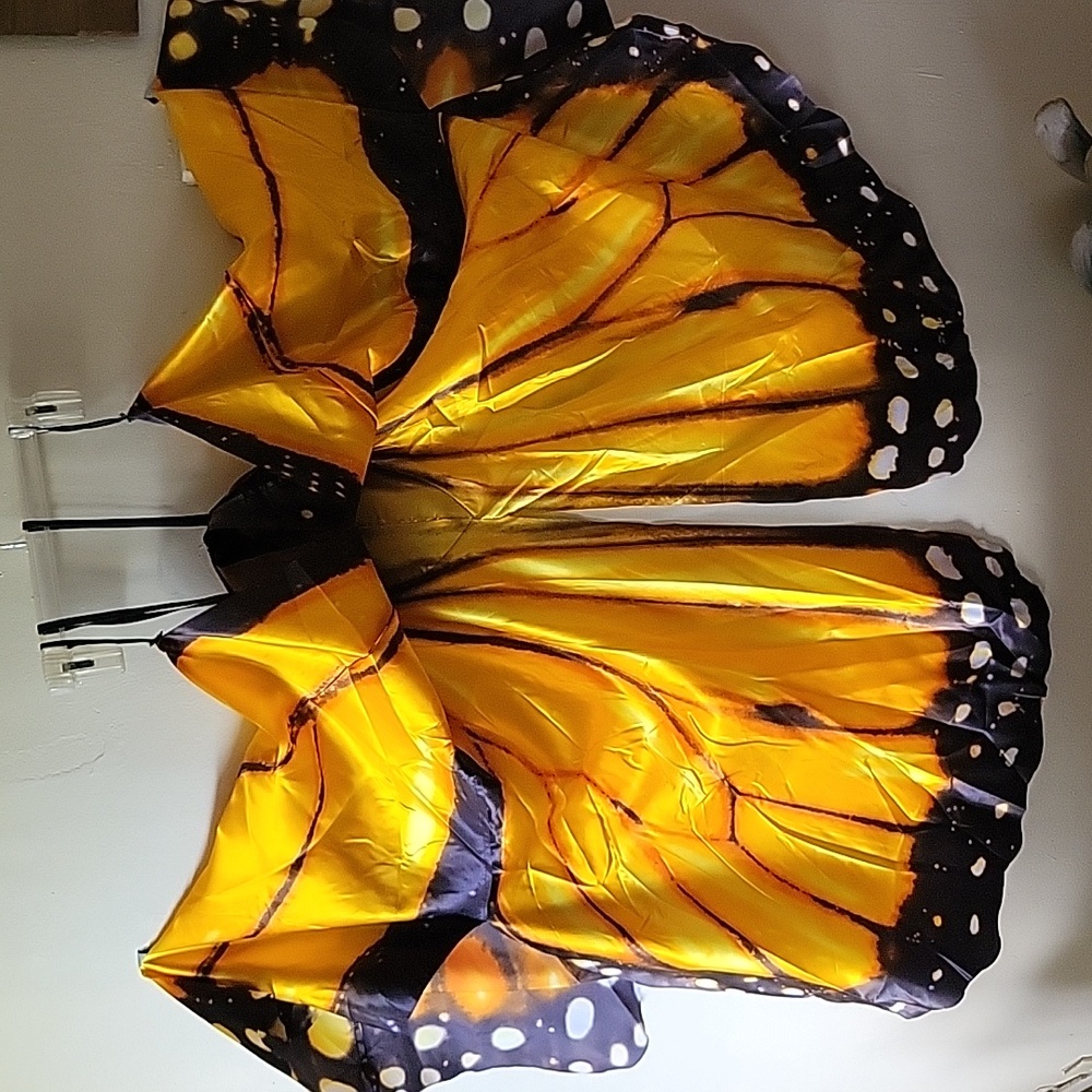 Butterfly Wings Costume Halloween